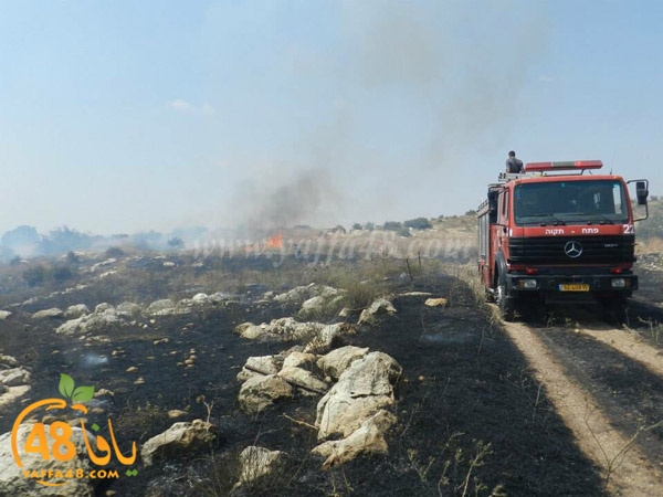 fire a7rsaah (3).jpg